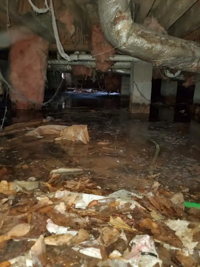 Crawl space flood assessment for Leak Detection & Repair in Norton
