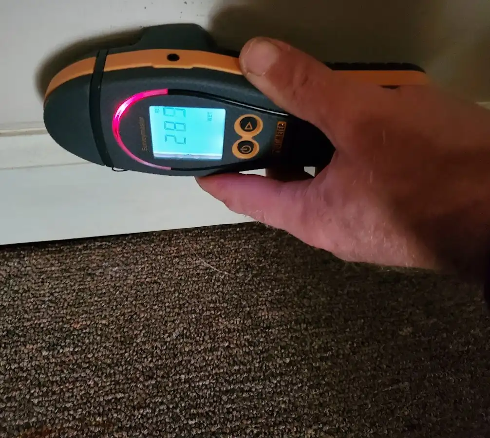 Moisture detection at baseboard during Sewage Cleanup & Sanitation in Norton